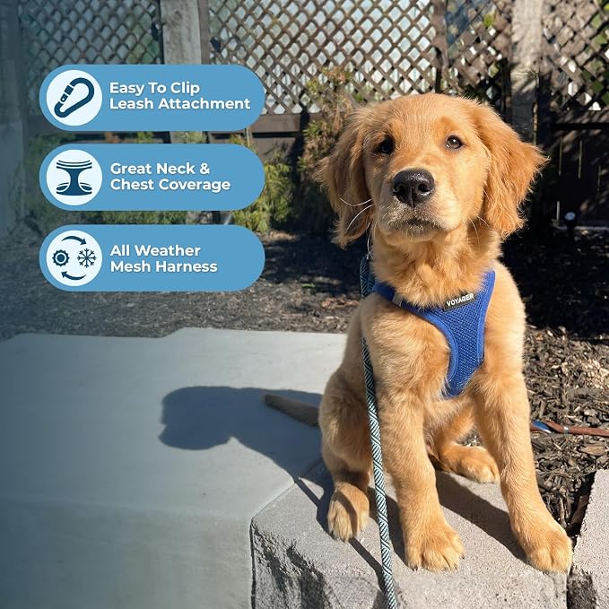 Best Pet Supplies Voyager Step-in Air All Weather Mesh Harness and Reflective Dog 5ft Leash Combo with Neoprene Handle, for Small, Medium and Large Breed Puppies - Royal Blue, X-Large