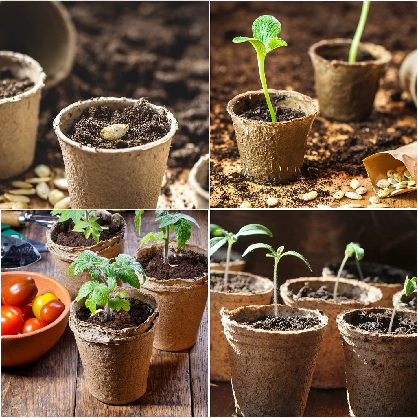 JERIA 200-Pack 3.15 Inch Peat Pots for Seedling with 200 Pcs Plant Labels,Outdoor Garden Germination Nursery Pots,Biodegradable Seed Starter Pots Kits