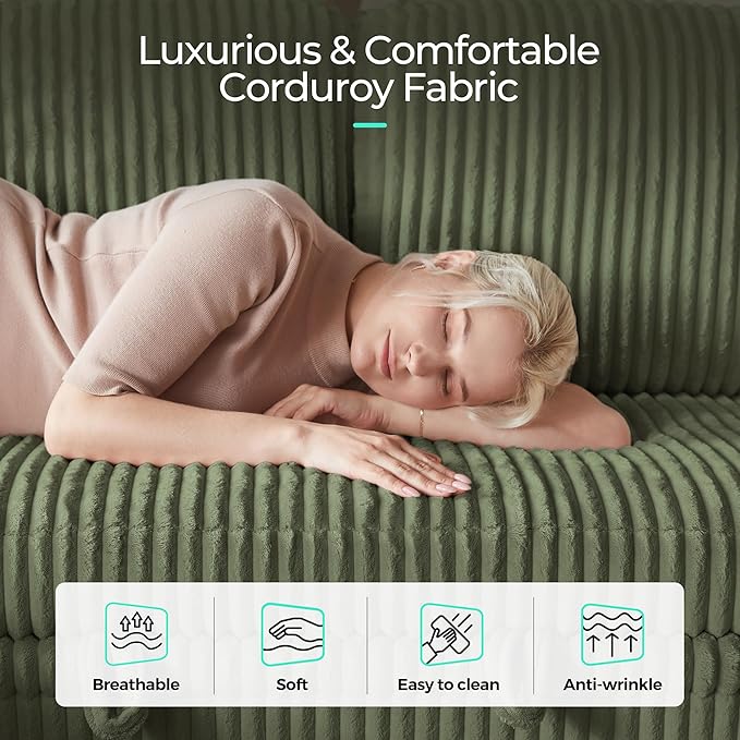 LINSY HOME Sectional Sleeper Sofa Pull Out Couches