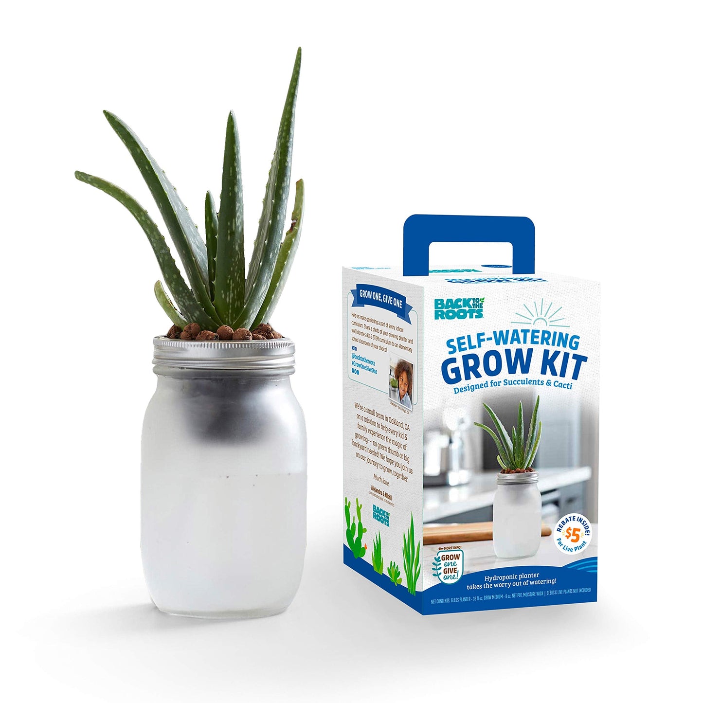 Back to The Roots Self Watering Grow Kit - Glass Hydroponic Planters for Succulents and Cacti Self-Watering System