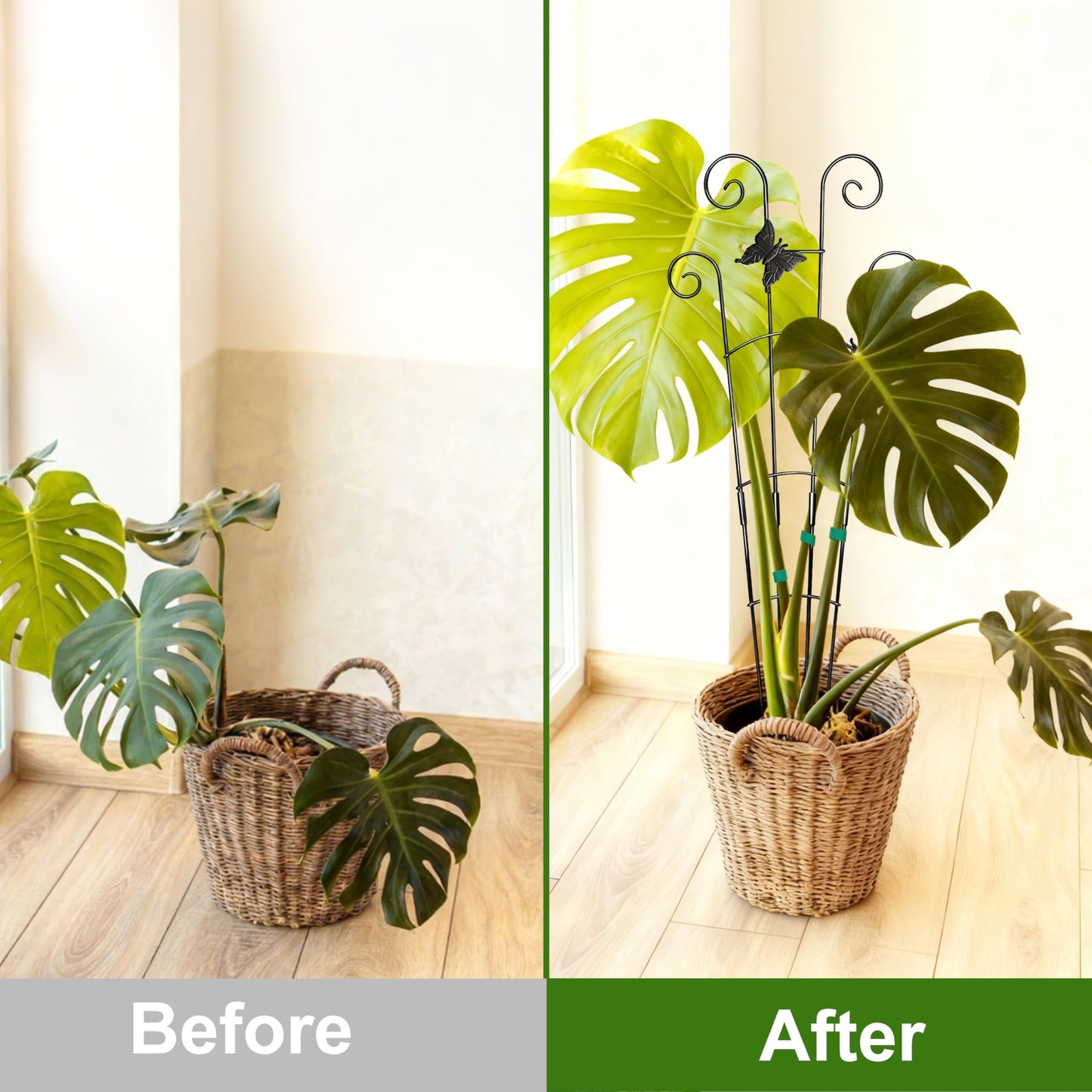 COOMIN 30'' Monstera Plant Support Outdoor, Metal Expandable Plant Supports for Indoor Plants, Garden Monstera Trellis for Climbing Plants Indoor, 2pcs