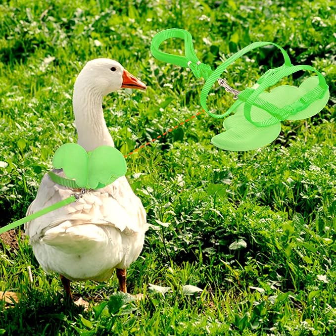 KAMA BRIDAL Duck Walking Harness and Leash Chicken Duck Outdoor Training Rope Adjustable Rope for Pet Poultry Hen Cock (XS, Green)