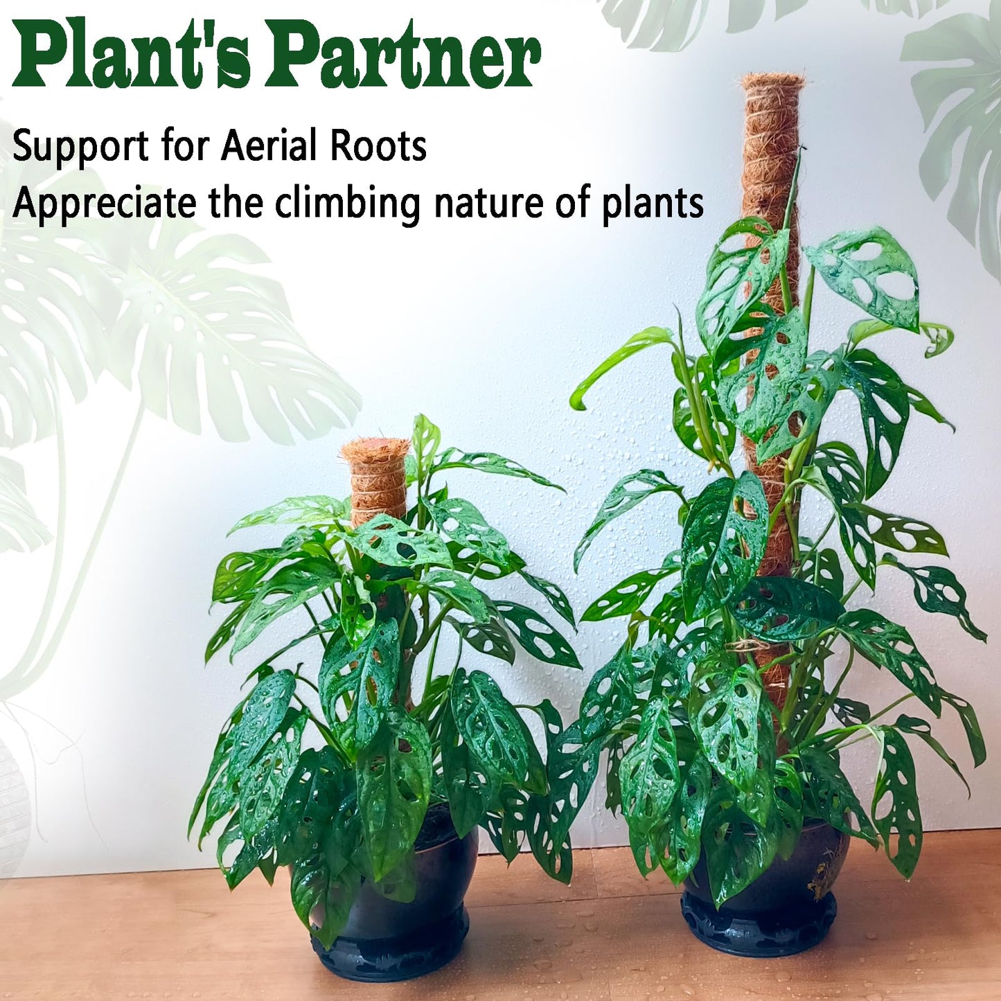 4 Pack 18 Inch Moss Pole, Stackable Moss Poles for Climbing Plants Monstera, Tall Plant Sticks Accessories, Large Coir Plant Support Stakes for Potted Plants Indoor, Pothos, Philodendron