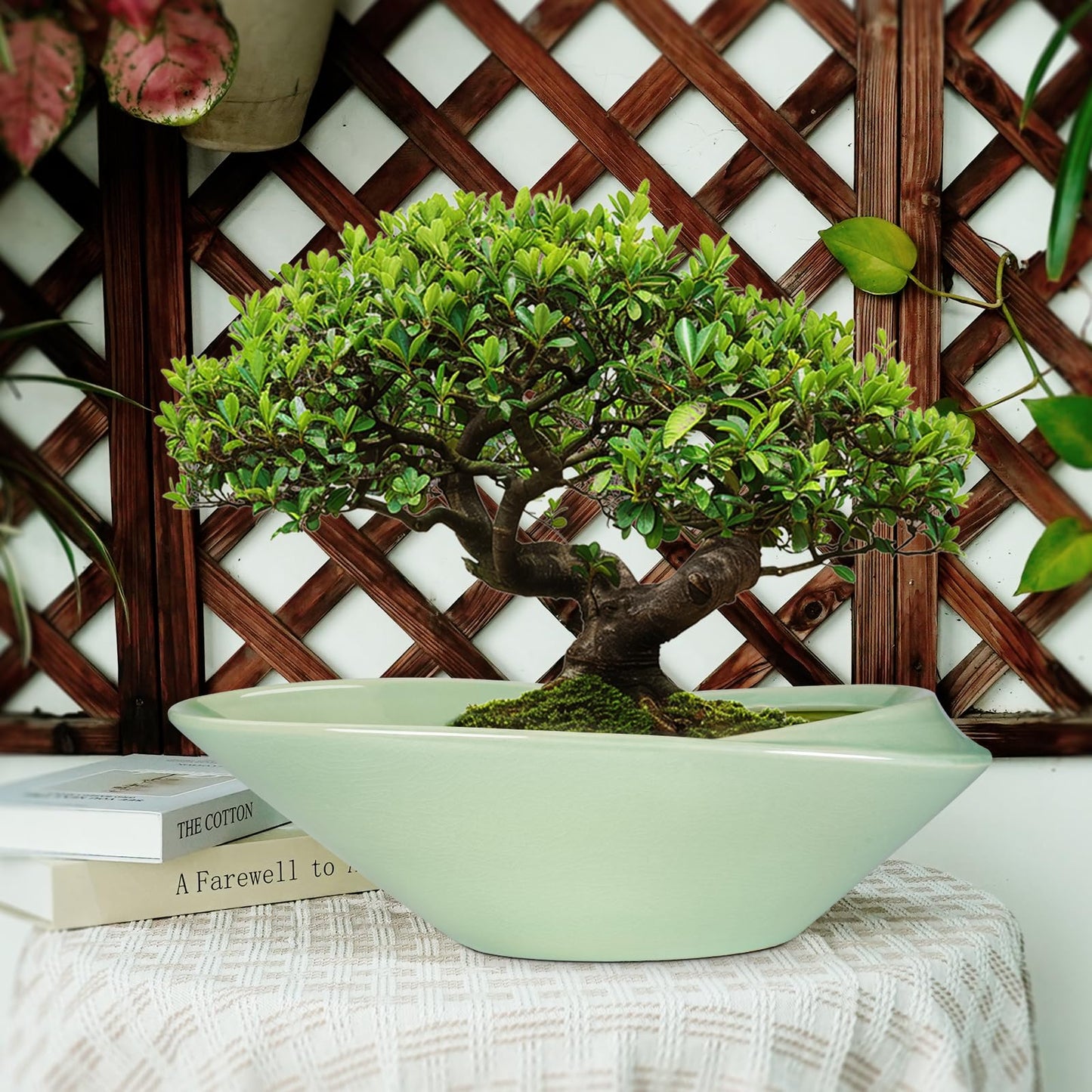EPFamily Ceramic Bonsai Pot - 18 Inch Planter with Drainage Hole Large Modern Bonsai Planter Decorative Succulent Flower Plant Pot for Indoor Plants Outdoor Green