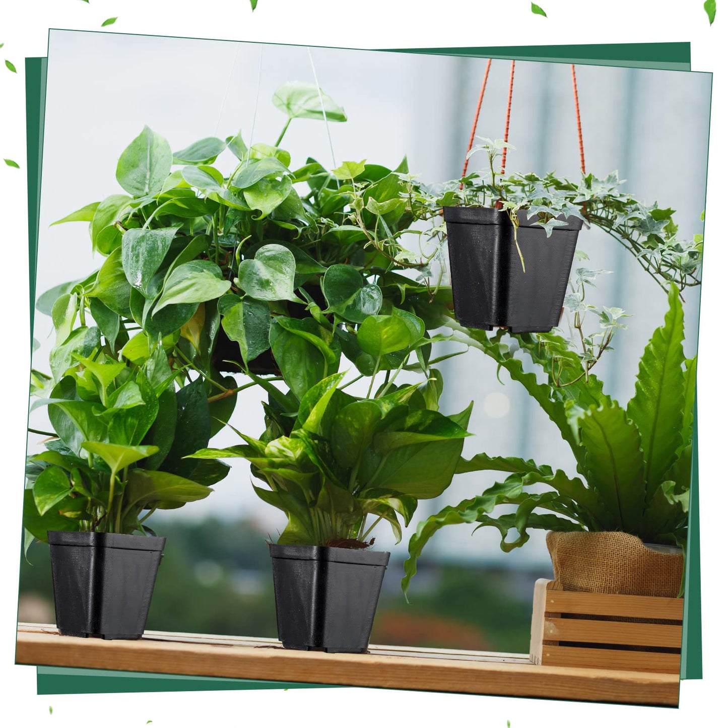 Yinder 500 Pcs 2.7 Inch Black Square Plastic Nursery Pots, Modern Plant Starter Pots, Drainage Hole, Ideal for Indoor Outdoor Flowers, Succulents, Herbs