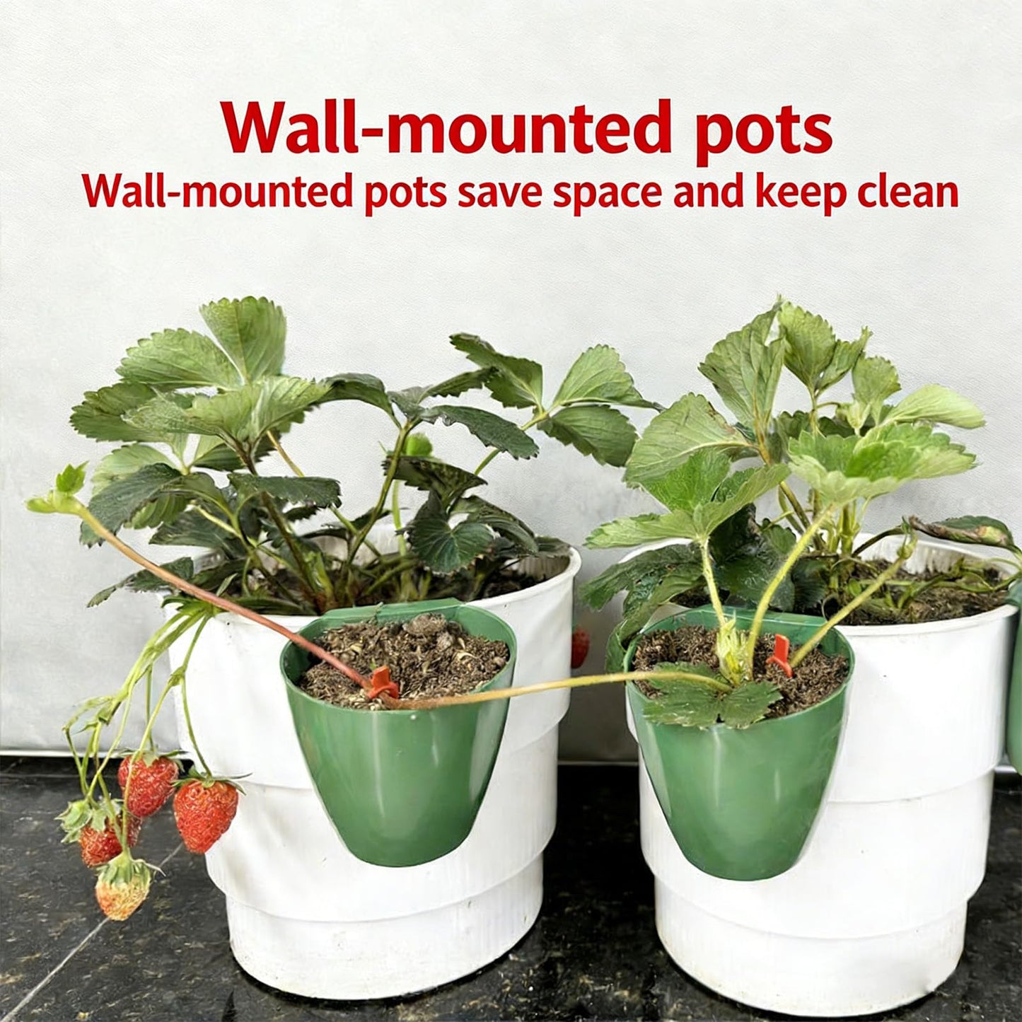 ordinarYone Breathable Strawberry Propagation Cups with Runner Forks for Root Rot and Promoting Growth in High Hu
