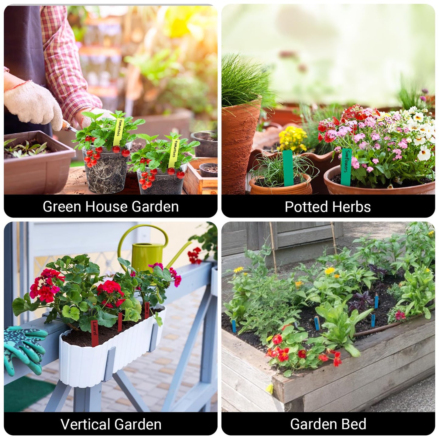 GREANER Window Boxes Planters with 100PCS 4inch Colorful Plant Label, 3PCS 16x3.8 Inch Large Herb Planters with Tray, Indoor Succulent Cactus Flowers Vegetable Plastic Rectangle Pots for Balcony, Offi