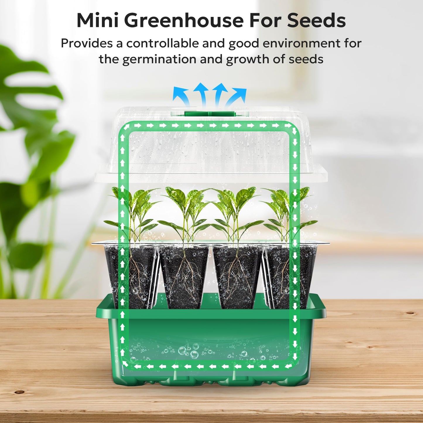MIXC 10 Packs Seed Starter Tray with Humidity Dome +30 Pack Transparent Seed Tray