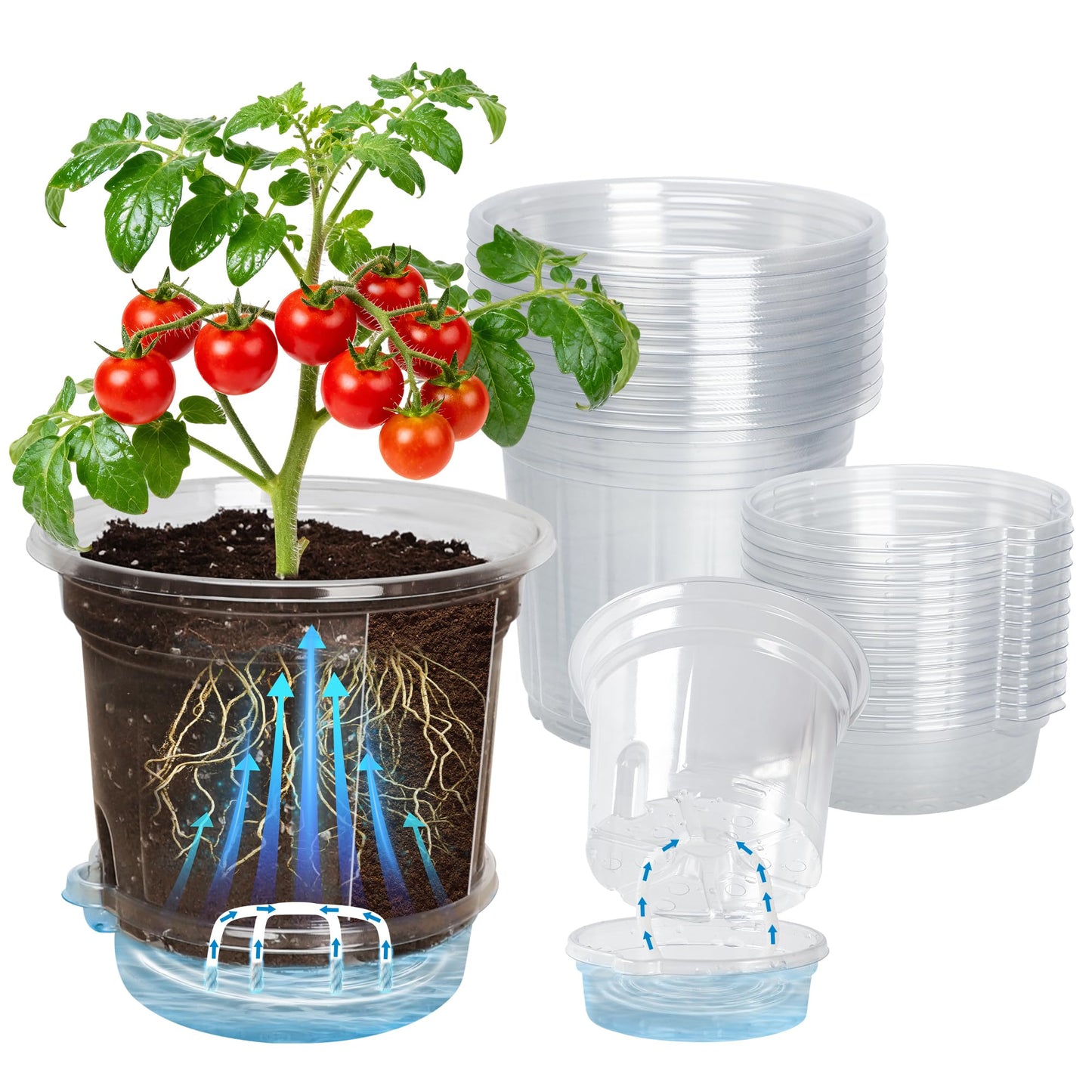 Bluepro 12 Pack 6.5 Inch Clear Self Watering Plant Pots with Bottom Water Tray & Watering Rope, Transparent Nursery Pots with Drainage for Seedlings, Herbs, and Houseplants