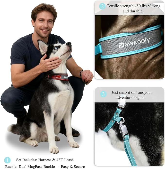 MagEase Dog Collar with 4FT Leash | Adjustable | Anti-Wrinkle, Bite & Stain-Resistant Leather | Soft & Skin-Friendly | 450LB Escape-Proof Magnetic Buckle (Light Blue, Large)