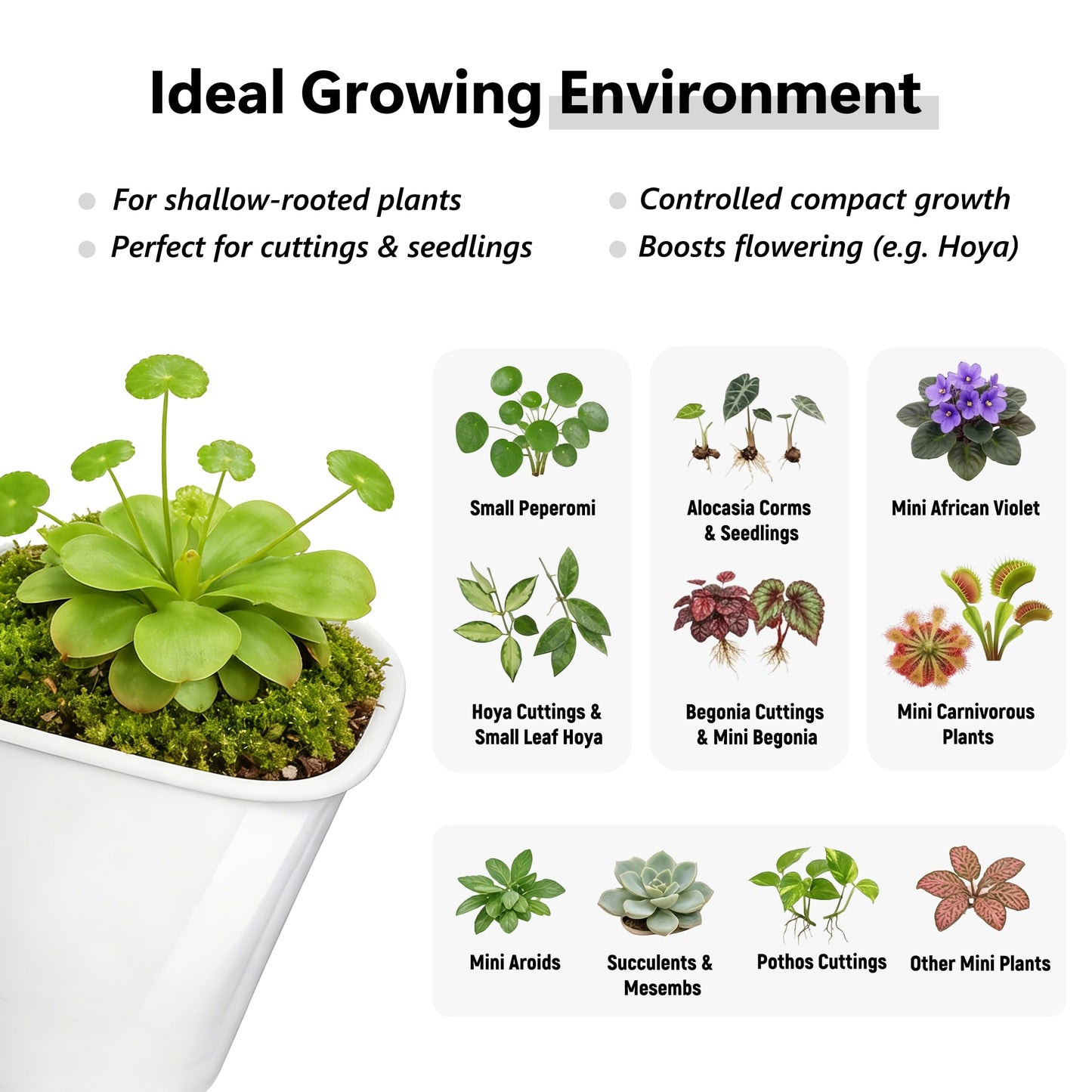 FYRIXONE 10 Pack 3 Inch Self Watering Pots for Indoor Plants, White Plastic Planters with Water Level Indicator, Drainage Holes & Wick, Small Plant Pots for Cuttings, Seedlings, Herbs, African Violets