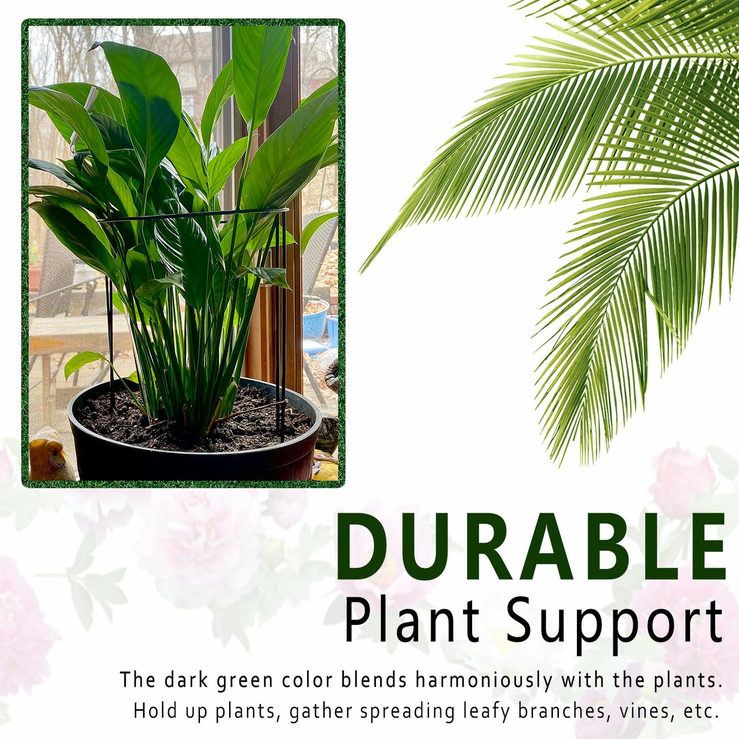 6 Pack Plant Support Stakes, 15.8" Half Round Metal Garden Plant Supports for Indoor Plants, Green Plant Cage Ring for Monstera, Peony, Hydrangea, Potted Plant Holder Sticks (10" Wide)