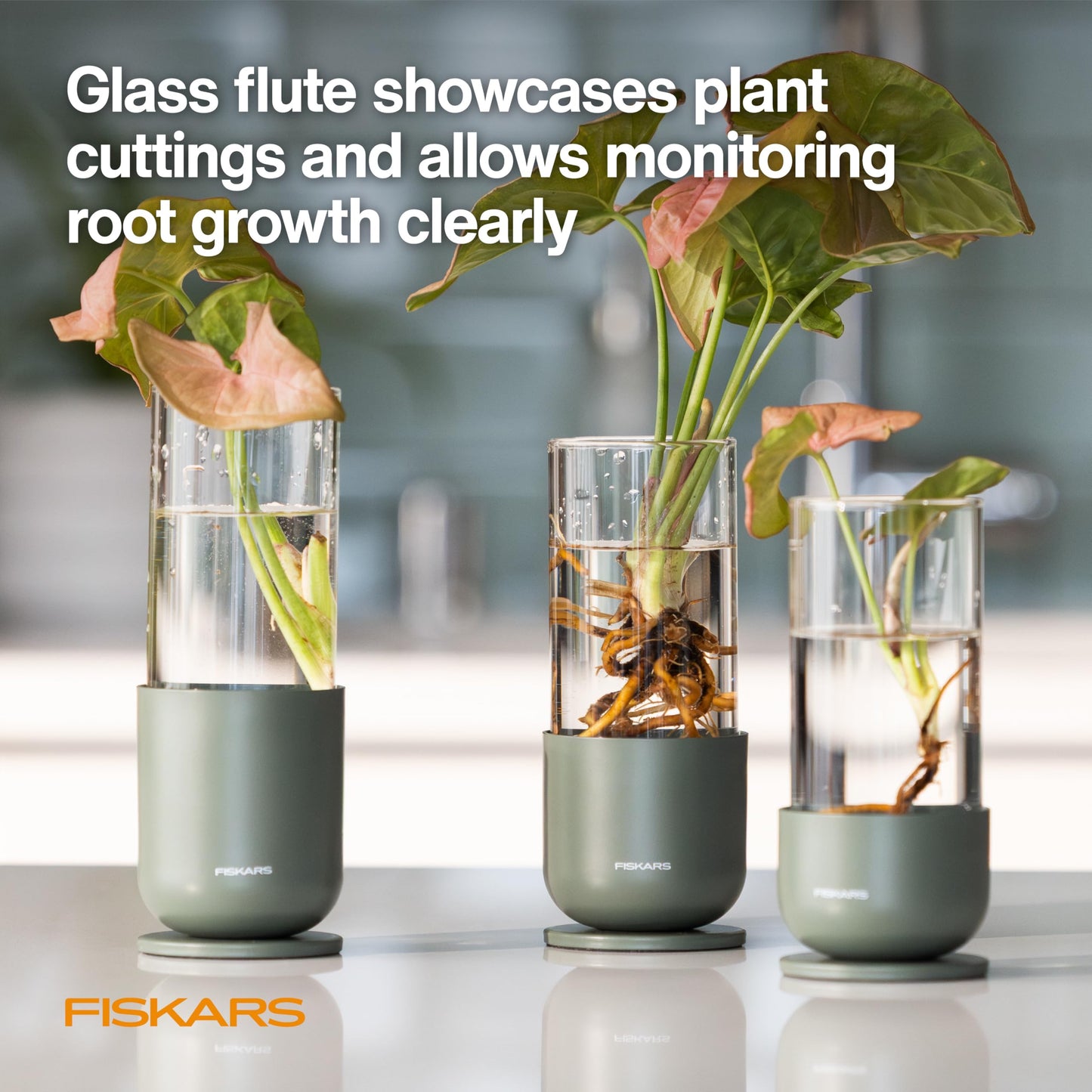 Fiskars Plant Propagation Set, Glass Vases with Metal Stands for Rooting Cuttings, Hydroponic System for Growing Plants in Water & Decorative Display for Indoor Garden Decor, 3 Pack, Clear