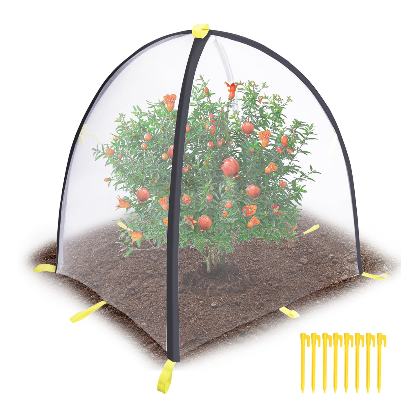 PURPLE STAR 1N 35 x35 x 39 Inch Insect Barrier Plant Tent Cover-Insect Bird Barrier Netting Mesh-Bug Guard Cover with Stakes for Protect Plants Fruits from Insect Bird Eating (1, L)