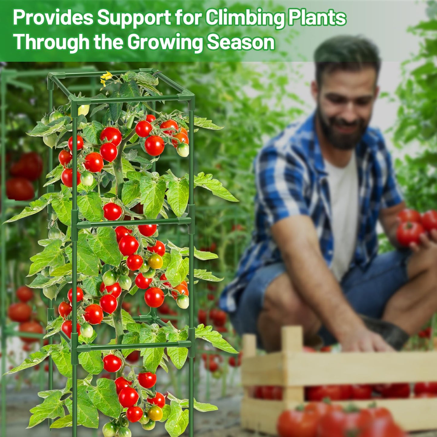 Legigo 4 Pack Square Tomato Cages- 45 Inch Heavy Duty Tomato Trellis for Climbing Plants Outdoor, Tomato Plant Support Stakes Cage Garden Trellis for Garden Raised Garden Bed Cucumbers Vegetables