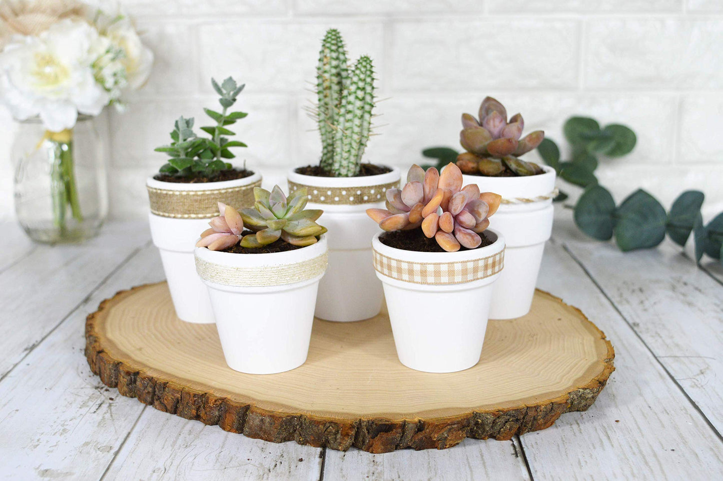 40 Pcs White Terracotta Pot - 2.5 Inch Mini Clay Pots with Drainage Holes Flower Nursery Terra Cotta Pots for Succulent Plants, Crafts, Wedding Baby Shower Favor