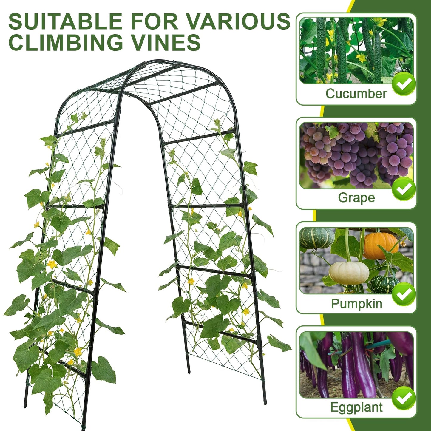 PHENEAHILL Extra Tall Garden Arch Trellis for Cucumber, Heavy-Duty Rust-Resistant Powder-Coated Steel, Vertical Support for Large Vining Vegetables (47”W x 79”H)