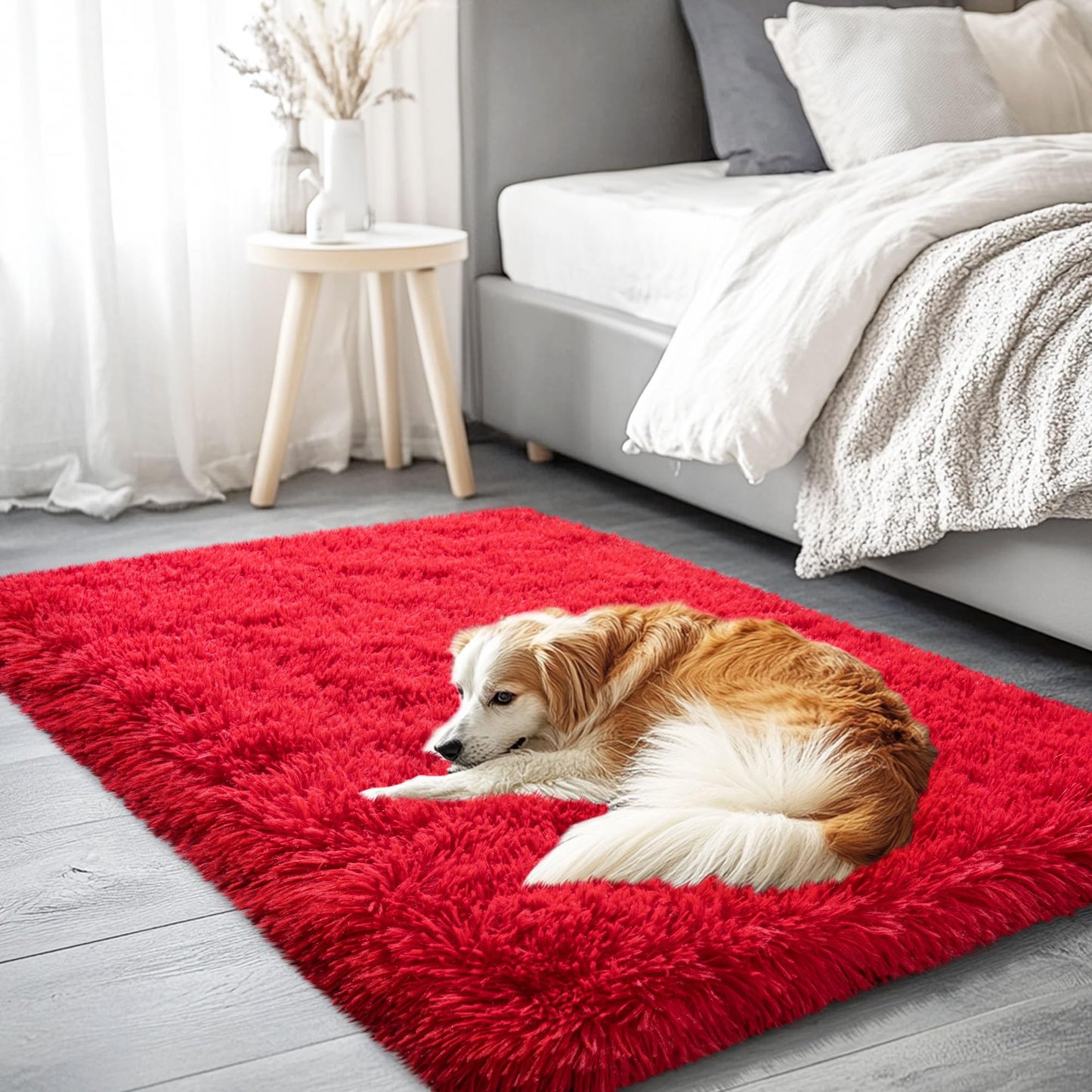 AAFKK Red Area Rug for Bedroom, 2x3 Small Rugs for Living Room Nursery Kids Room Dorm Home Decor Aesthetic, Fluffy Shaggy Rug with 4 Anti-Slip Carpet Tapes