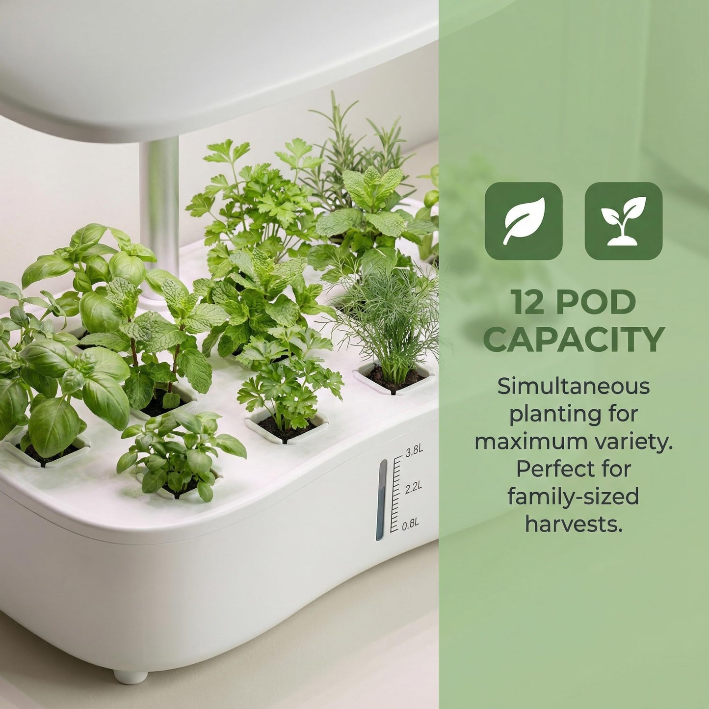 Hydroponics Growing System Kit, Soil-Free Indoor Herbs Garden, 12 Pods Plant Growth Equipment with 24W Full Spectrum LED Grow Light, Smart Silent Cycle Water Pump, 3.8L Tank for Gardening