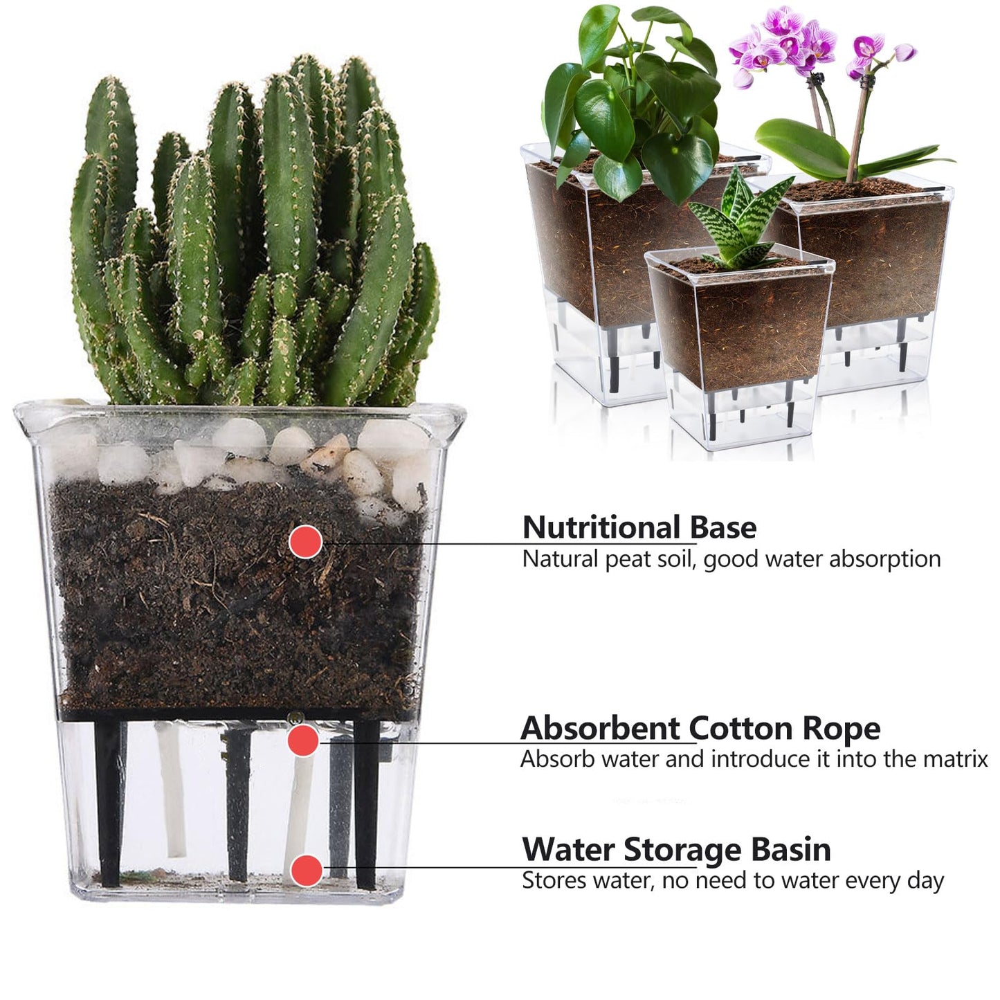 IWNTWY Self Watering Pots Set, 3 Pack 5 Inch for Indoor Plants, Clear Nursery Planter With Deep Reservoir for Spider Plant, Orchid, African Violet