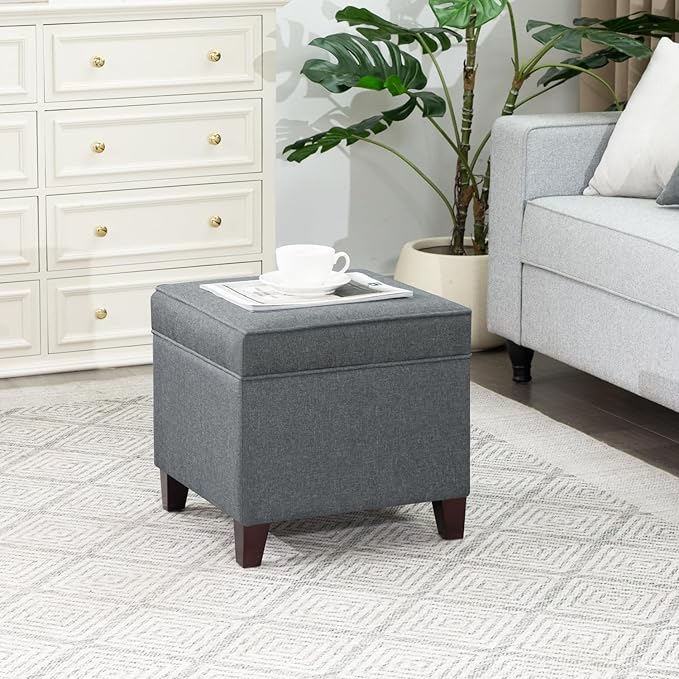Adeco Chest and Footrest-Square Seat Storage Bench Ottoman