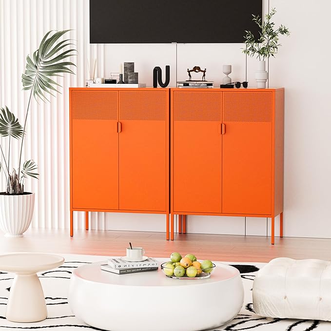 Washsemba 2 Mesh Door Metal Cabinet