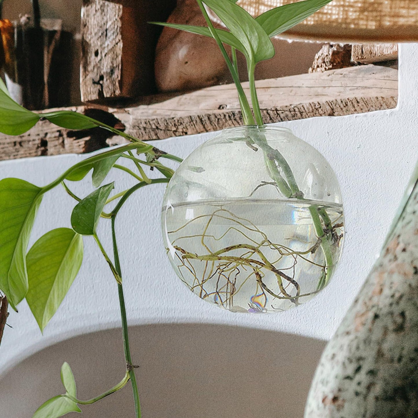BEBEMOKO Hydroponic Glass Vase Wall Hanging Planter 15cm Terrarium Bottle for Indoor Plant Propagation and Home Décor with Non-Marking Hook