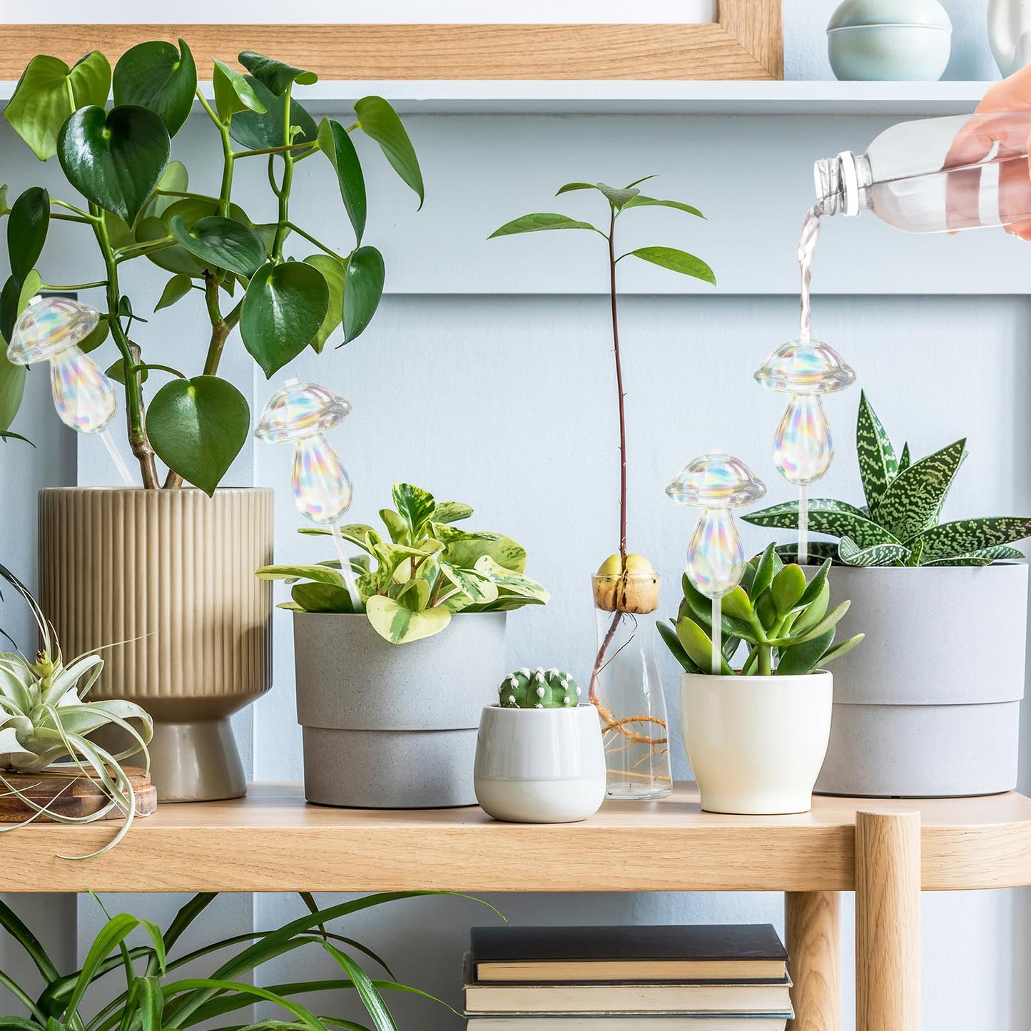4pcs Plant Watering Globes Self Watering Planter Insert Devices,Glass Watering Bulbs Mushroom Pattern Watering Globes for Indoor Plants Top-Fill Watering Rainbow Colors (Round Automatic Watering Bulb)