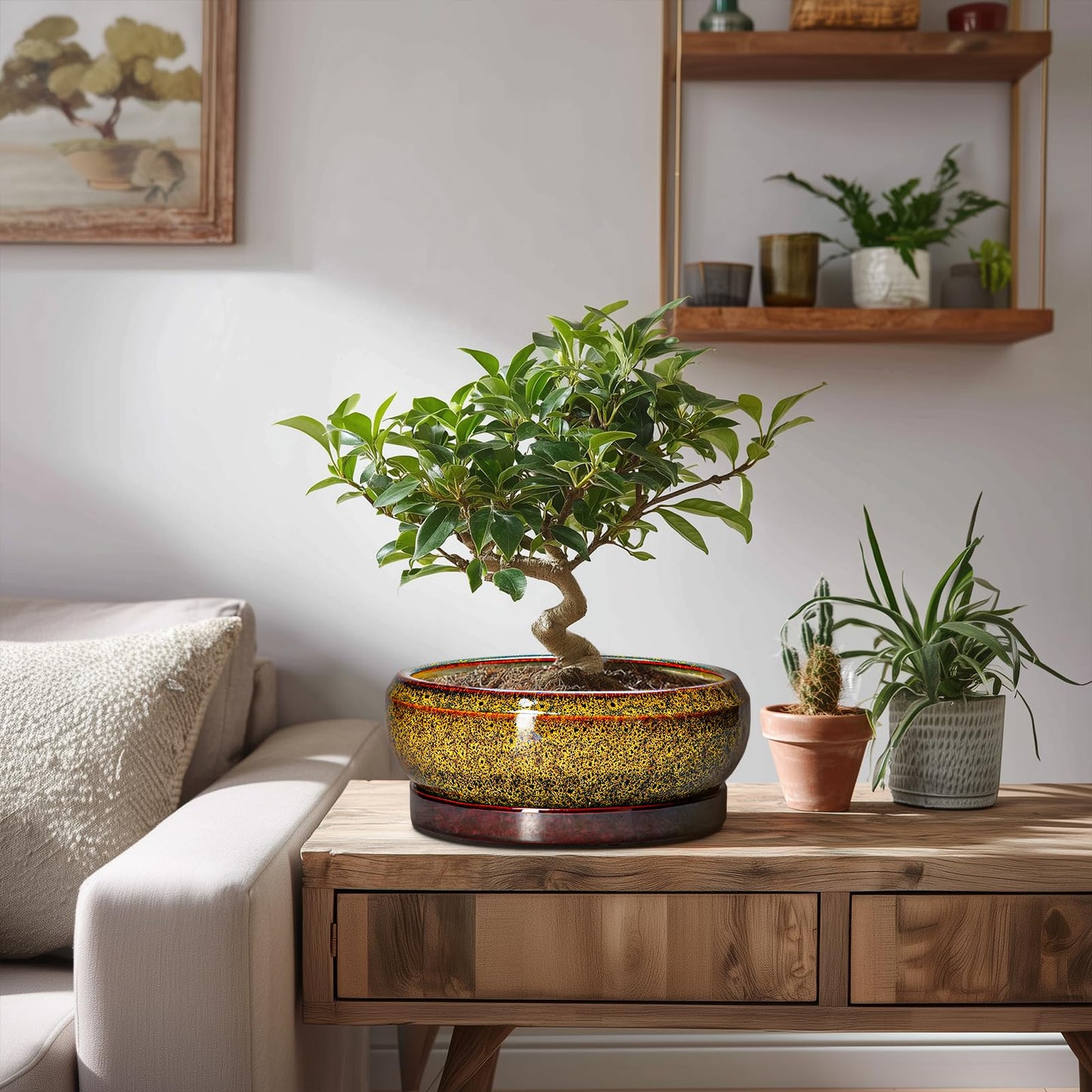 EPFamily Succulent Planters 8 Inch - Ceramic Bonsai Pots with Drainage Hole and Tray, Shallow Plant Pot Indoor Outdoor, Round Succulent Pots, Planter Bowl, Porch Decor, Housewarming Gifts, Yellow
