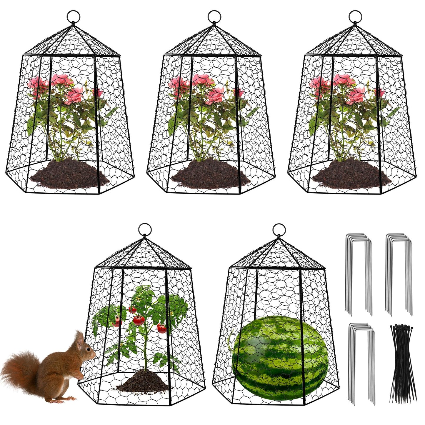 Budiwati 18.5" x 13" Large Plant Protection Cage, 5 Pcs Chicken Wire Cloche, Metal Protectors for Garden Plants, Protecting Fruits and Seedlings from Rabbits, Squirrels and Other Animals