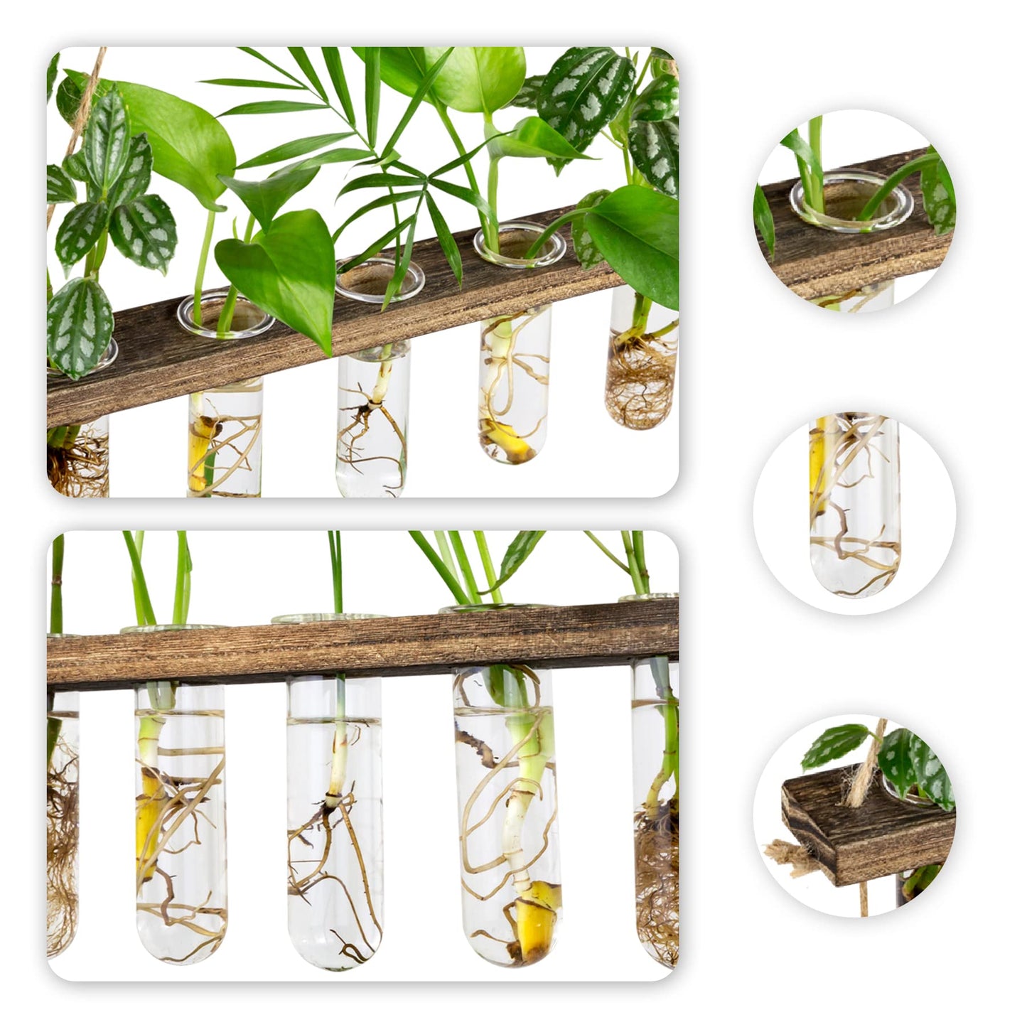 Monsiter QE 3 Tier Wall Hanging Propagation Stations with 15 Glass Test Tubes, Plant Terrarium Propagation Tubes Planter for Hydroponic Cuttings, Window Decor Gift for Plant Lovers
