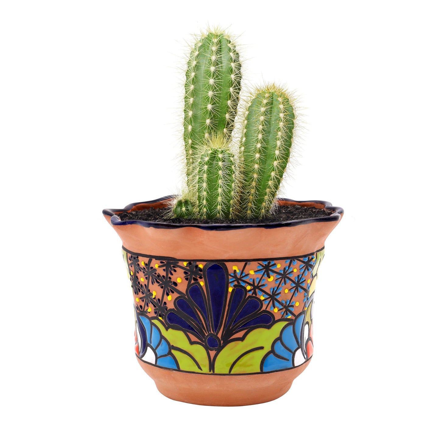 Evergreen Garden Talavera Mexican Pottery Ceramic Floral Classic Top Pot Planter | Flower Pot Plant Succulent | Indoor Outdoor (8 inch, Tan)