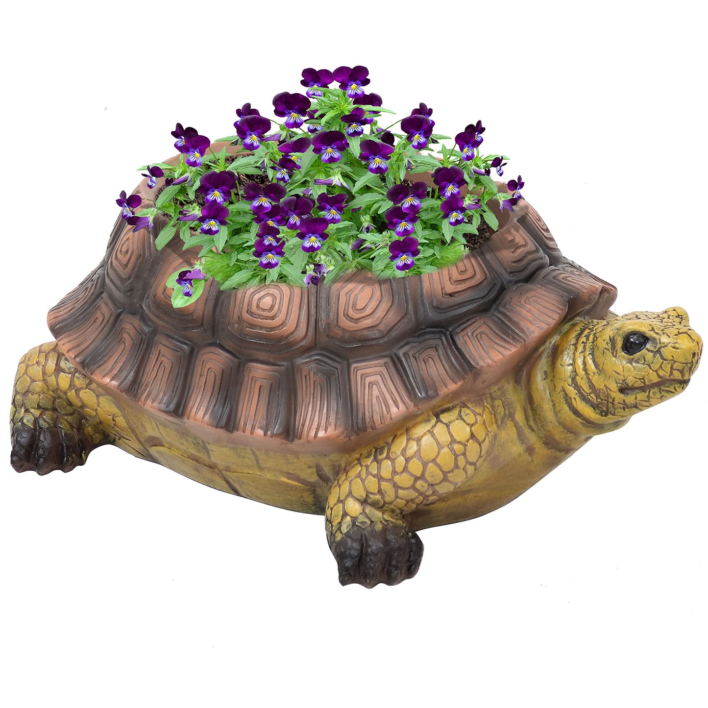 Sunnydaze Teddy the Turtle 11" Polyresin Garden Planter for Indoor or Outdoor Use