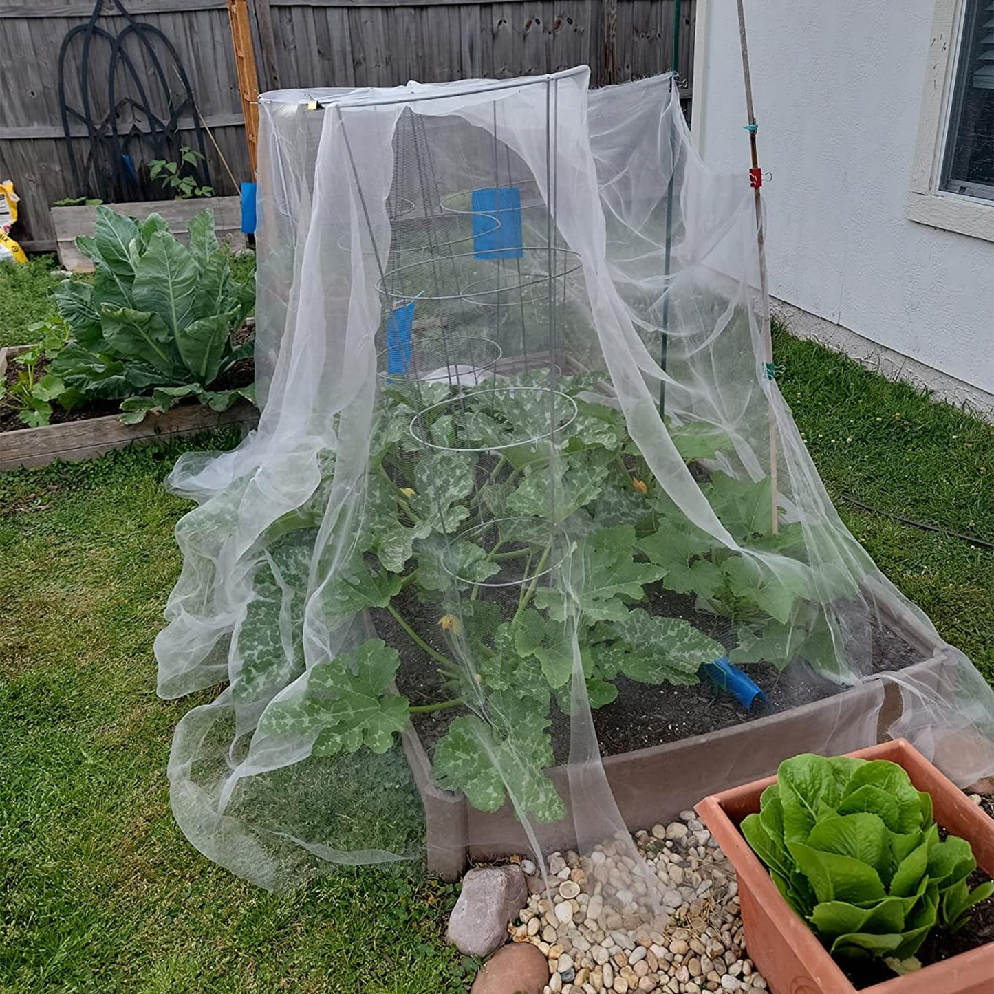 GonLei Garden Netting 2Pack 10X30FTPlants Garden Mesh Berry Netting Outdoor Mosquito Net,Garden Bed Fruit Tree Blueberry Shrubs Netting Plant Covers Row Vegetables Protection Barrier Net