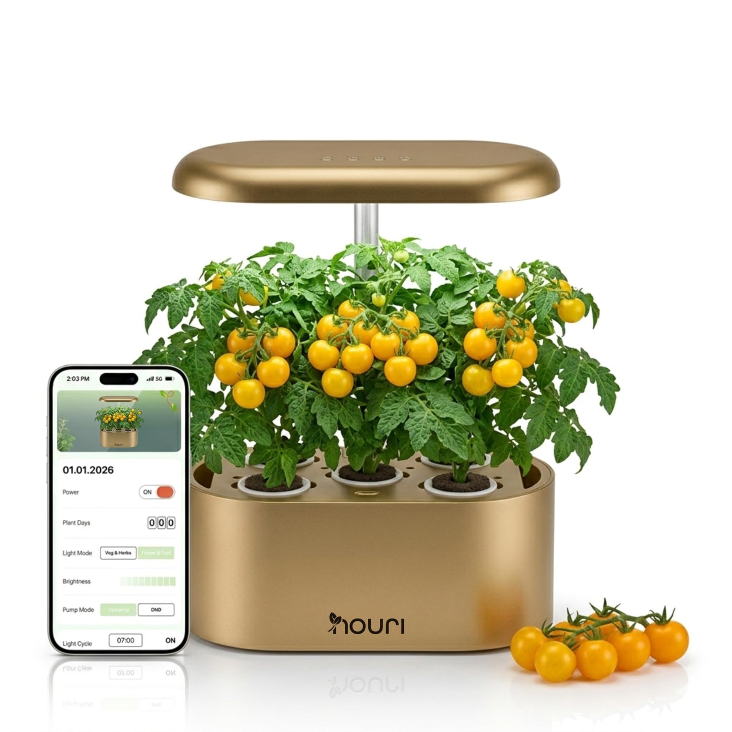 Nouri Hydroponics Growing System, 5 pod APP Smart Indoor Herb Garden Kit with LED Grow Lights, Hydroponic Herb Garden Indoor for Plant Lovers, Gardeners, Kitchen, Basil Seeds Included