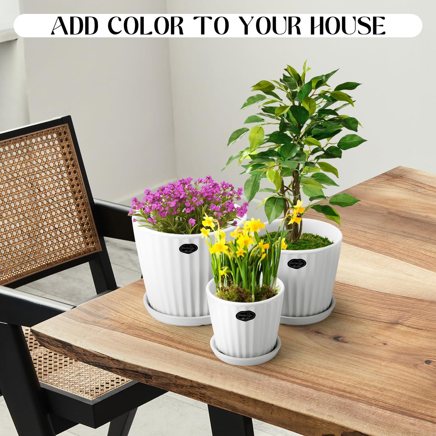 Acellegic 3 Pcs Ceramic Plant Pots 7.3/6/4.7 Inch Ceramic Flower Pot with Drainage Hole and Saucer Decorative Planter Indoor Outdoor for Gardening Home Desktop Office Windowsill Decoration Gift(White)