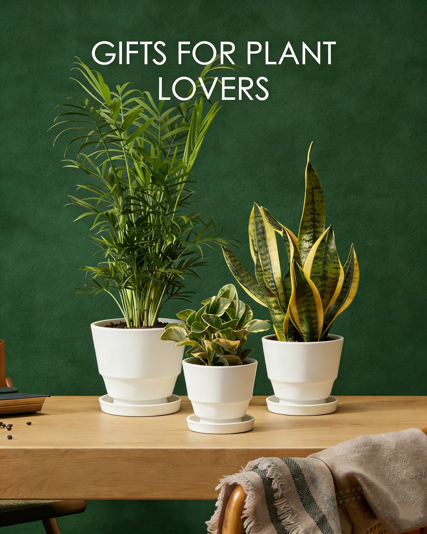 Bamworld Plant Pots Planters for Indoor Plants Flower Pots with Drainage Holes 3.5/4.9/6.3 Inch Set of 3 Plastic Planters for Outdoor Plants Garden Office Room Home Decor Textured White