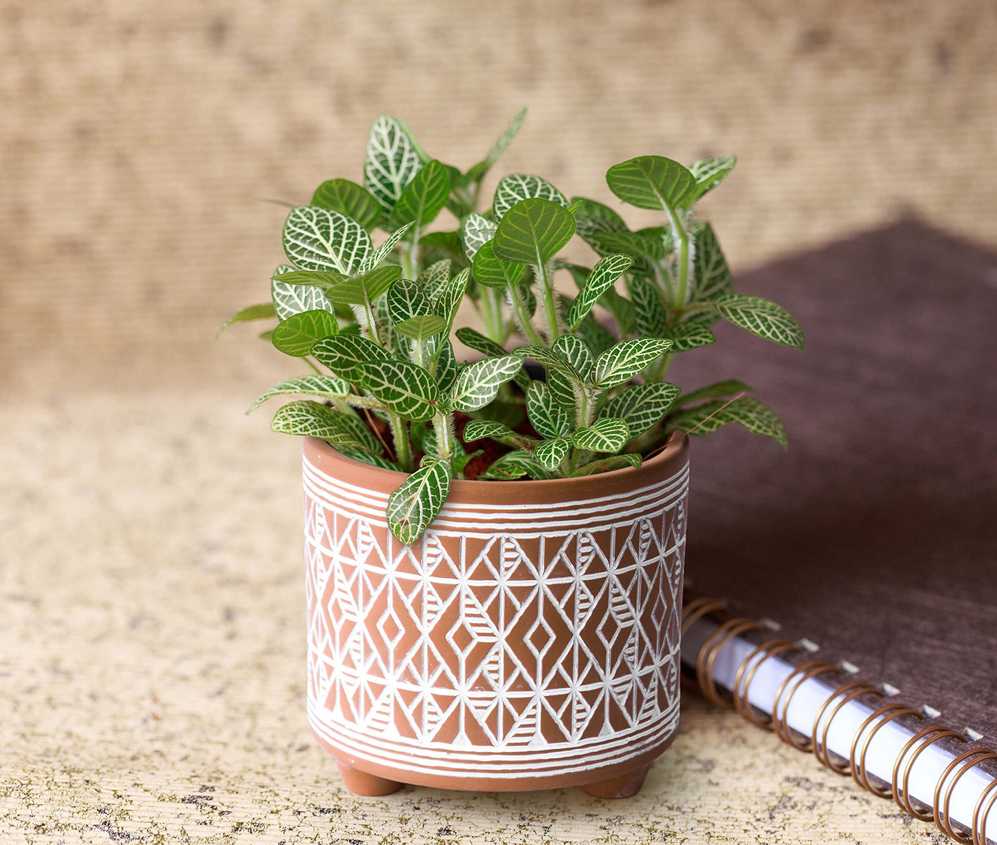 D'vine Dev Set of 2 Terracotta Planter Pots, 4 Inch & 6 Inch, Design Plants Pot with Drainage Hole, Savanna Weave, Terracotta/White, 31-953-G-1