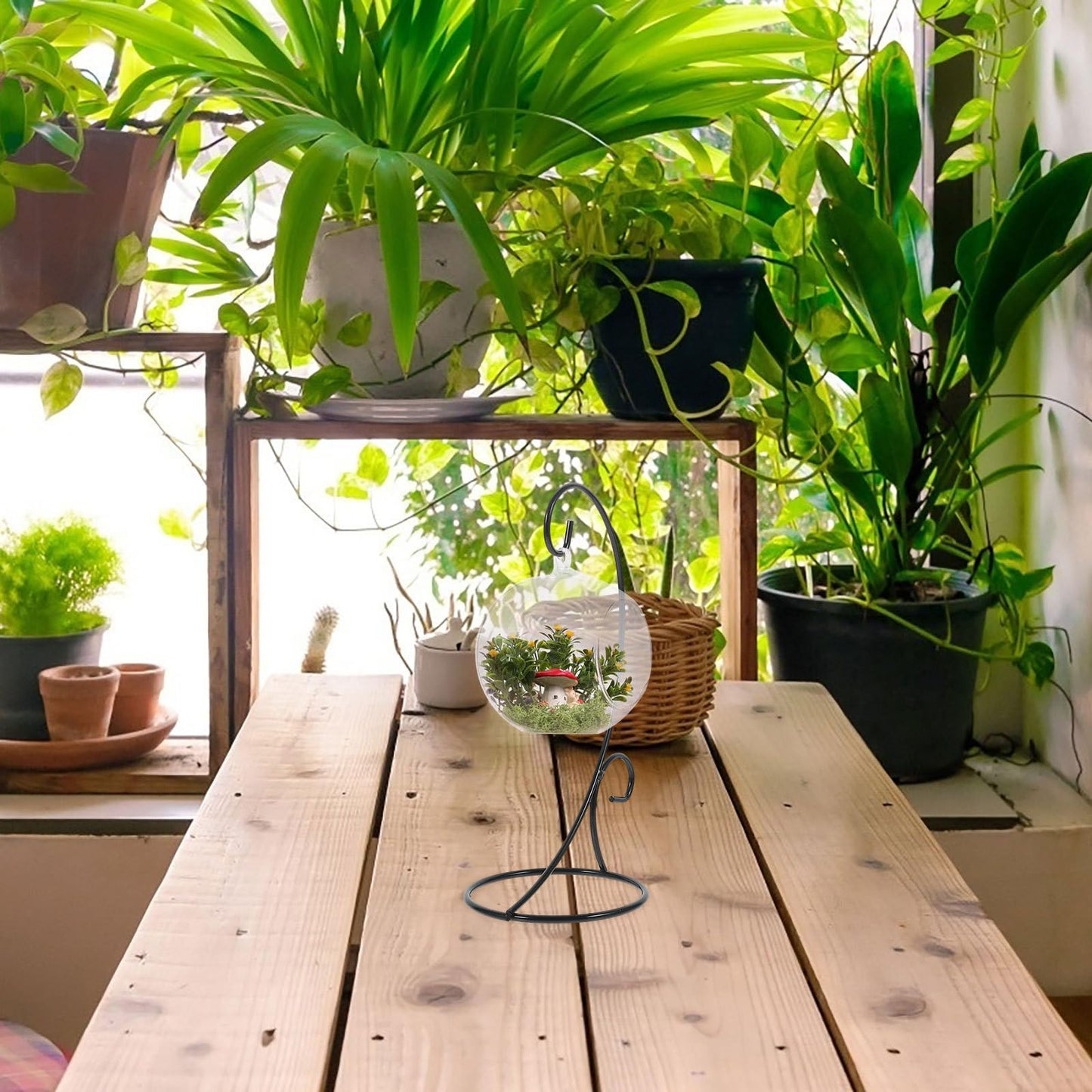 MAGICLULU 2pcs Hanging Terrarium Display Stand Air Planter Holder Iron Ornament Hanging Plant Bracket Black Semi-circle Hook for Indoor Outdoor Décor