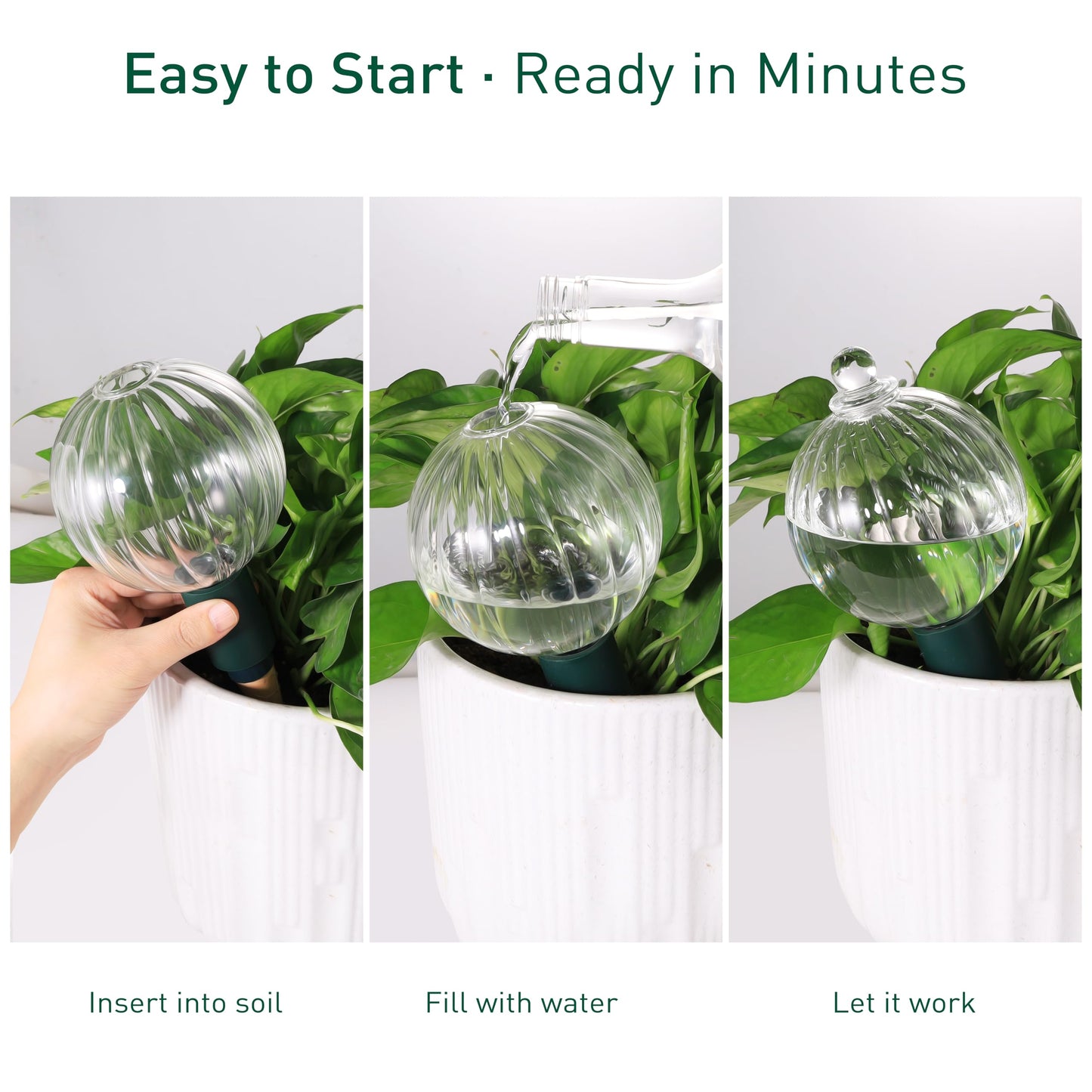 Soilagua 23 oz Extra Large Plant Watering Globes Top Fill, Clear Glass Water Bulbs with Terracotta Spikes Adapter, Slow Release Vacation Plant Watering Devices, Automatic Drip Irrigation, 2 Pack