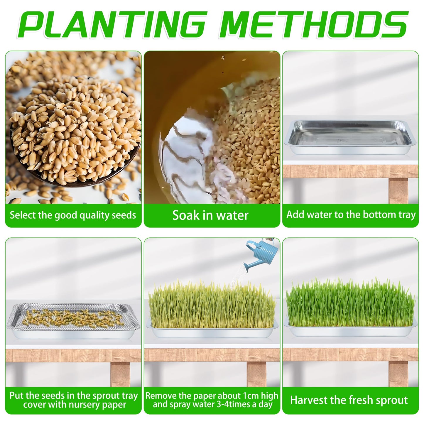 WBCBEC Plant Germination Trays, Stainless Steel Plant Trays Stainless Metal Trays Stainless Steel Seed Starter Carry Trays Nursery Seedling Pots Water Collection Transplantation (6PCS)