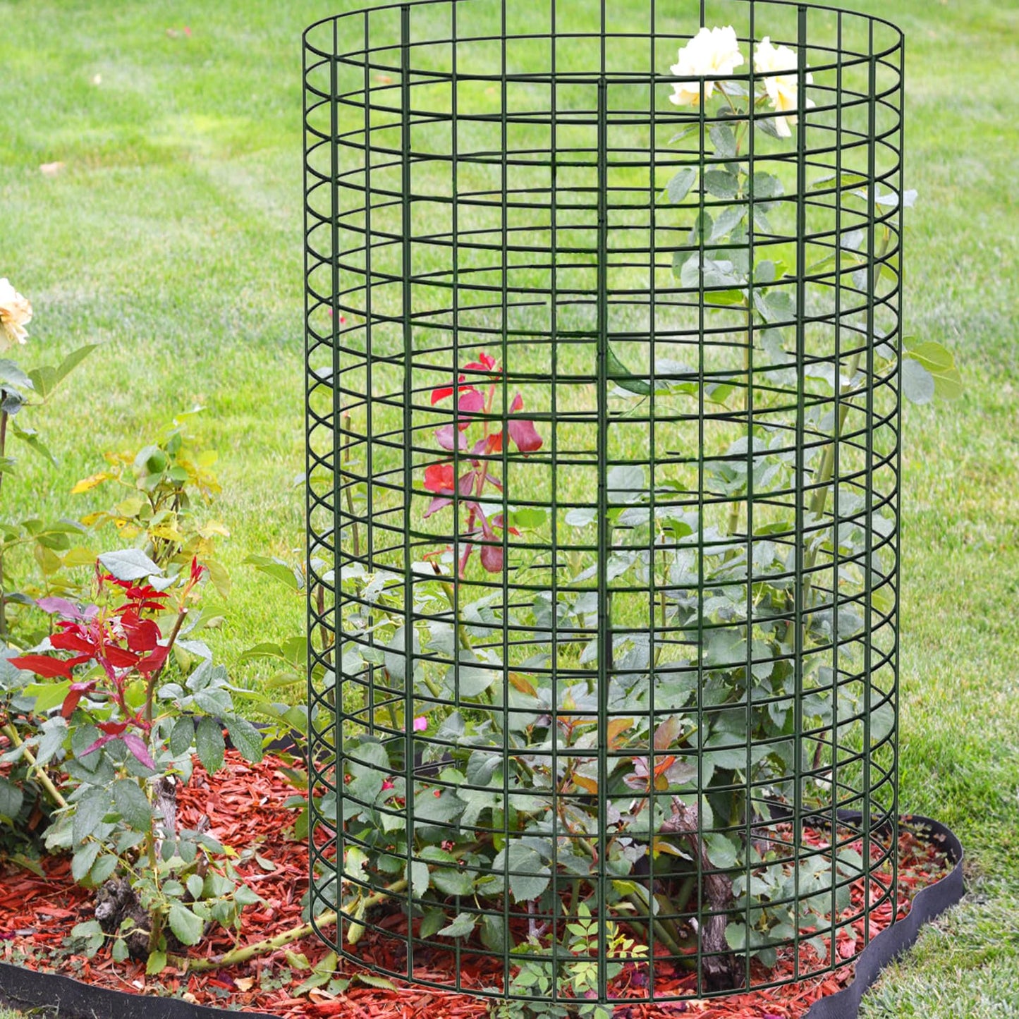 Hlimior 30 Pcs Large Wire Plant Protector from Animals 24'' x 12''10 Sets Metal Plant Cage Chicken Wire Cloche with Ground Stakes and Nylon Tie to Keep Animals Out, Garden Protection Bunny Barricade