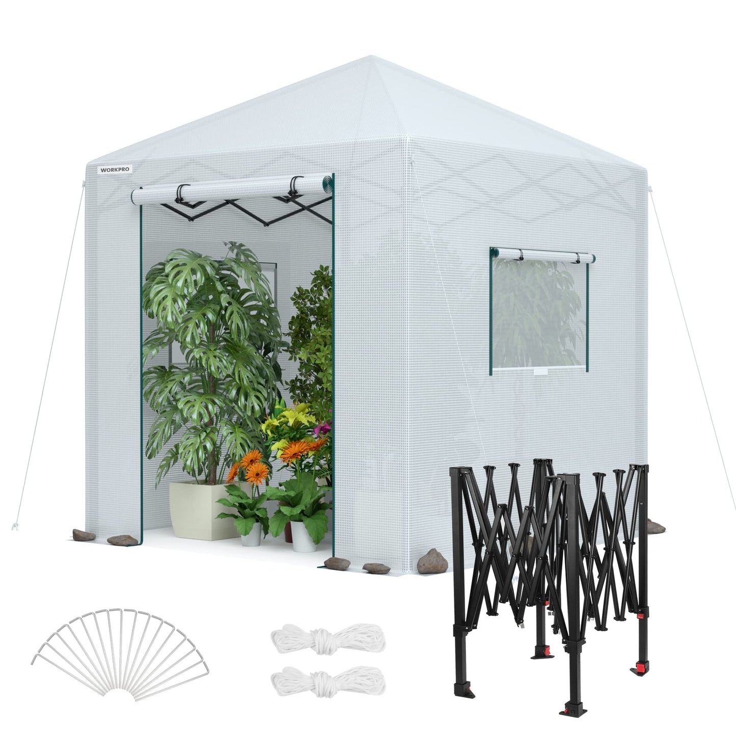 WORKPRO Greenhouse, 94”x 94”x 99” Pop-up Greenhouse for Outdoors , Heavy Duty Gardening House with Sturdy PE Cover, Roll-up Entry Doors and 2 Screen Windows, for Patio, Backyard, Balcony