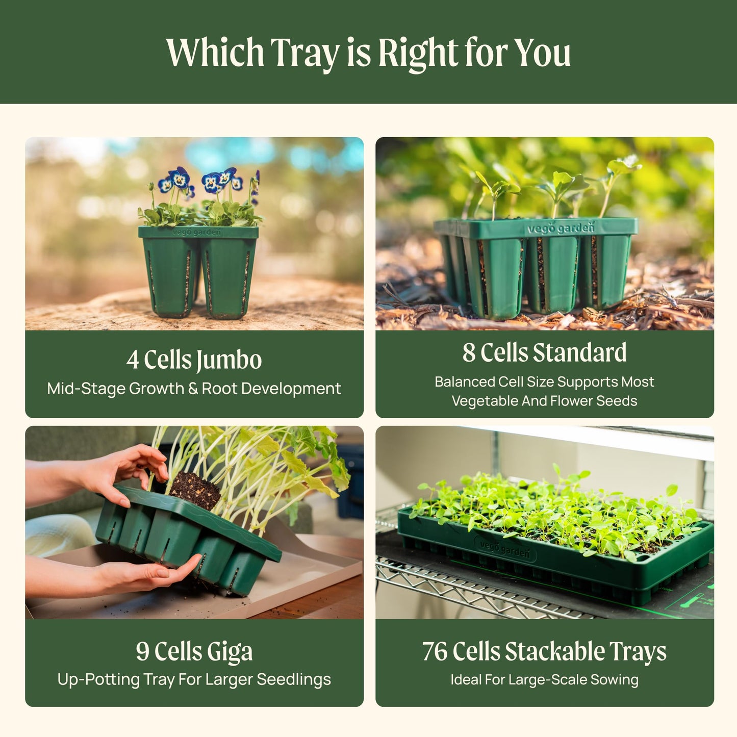 Vego garden 10" x 20" 76 Cells Seed Starter Tray Stackable Seedling Starting Germination Trays for Plants Planting Vegetables Herbs Flowers, 3 Sets