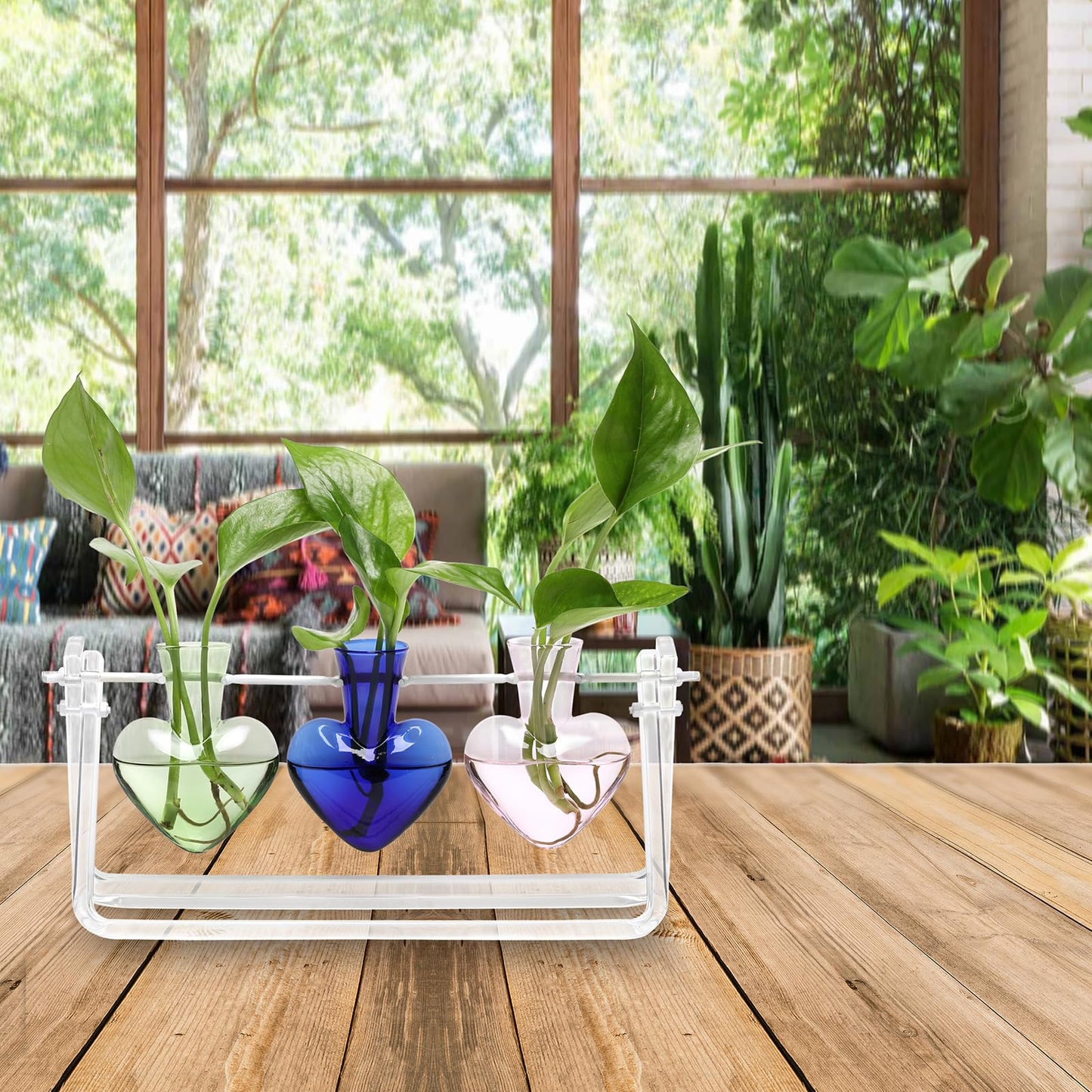 CYZglass Clear Plant Terrarium Propagation Stations with Acrylic Stand Birthday Gifts for Women Office Home Decor