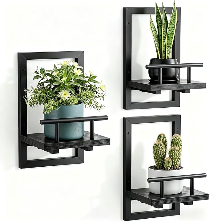 Sbosbo Floating Shelves for Wall, Plant Shelf Indoor, Wall Planters for Indoor