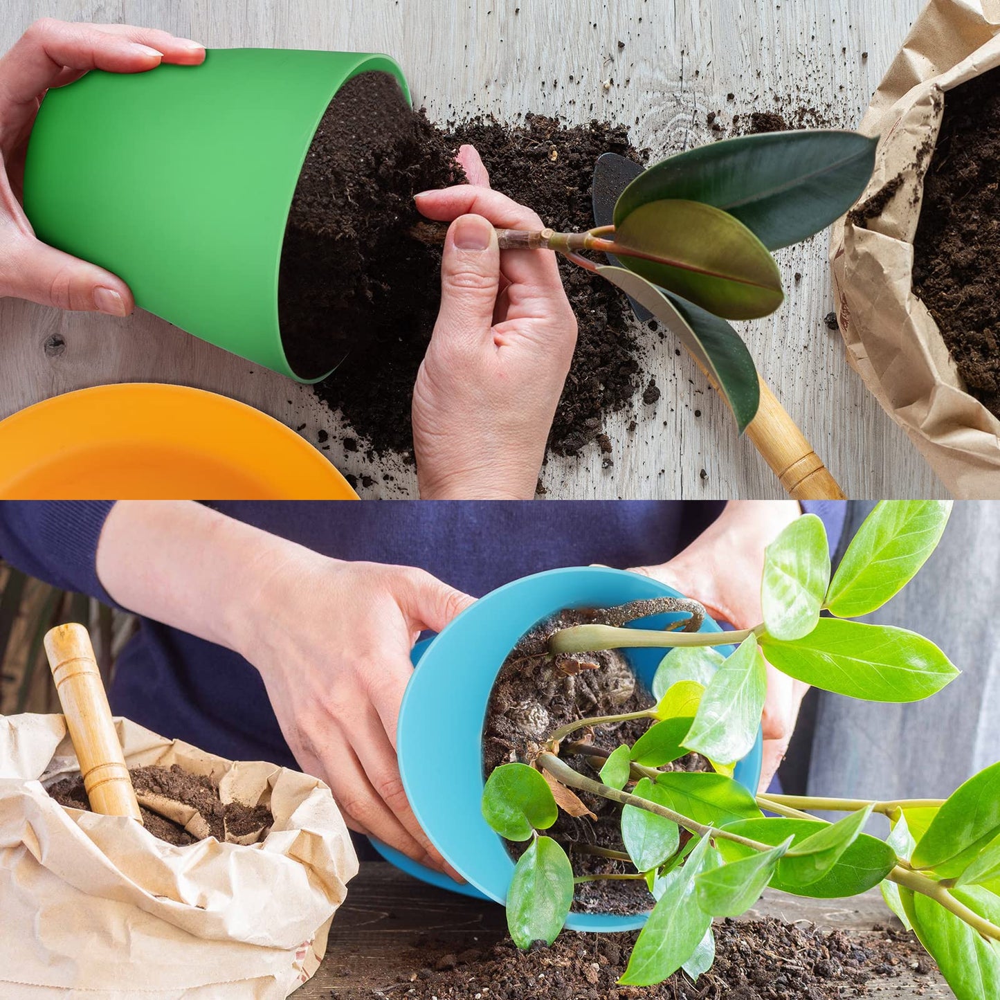 Yinder 32 Pcs 6 Inch Nursery Pots Flower Pots Colorful Plastic Plant Pot Seed Starting with Saucers and Drainage Holes Plant Container for Herbs Houseplants Seeding Nursery Flowers