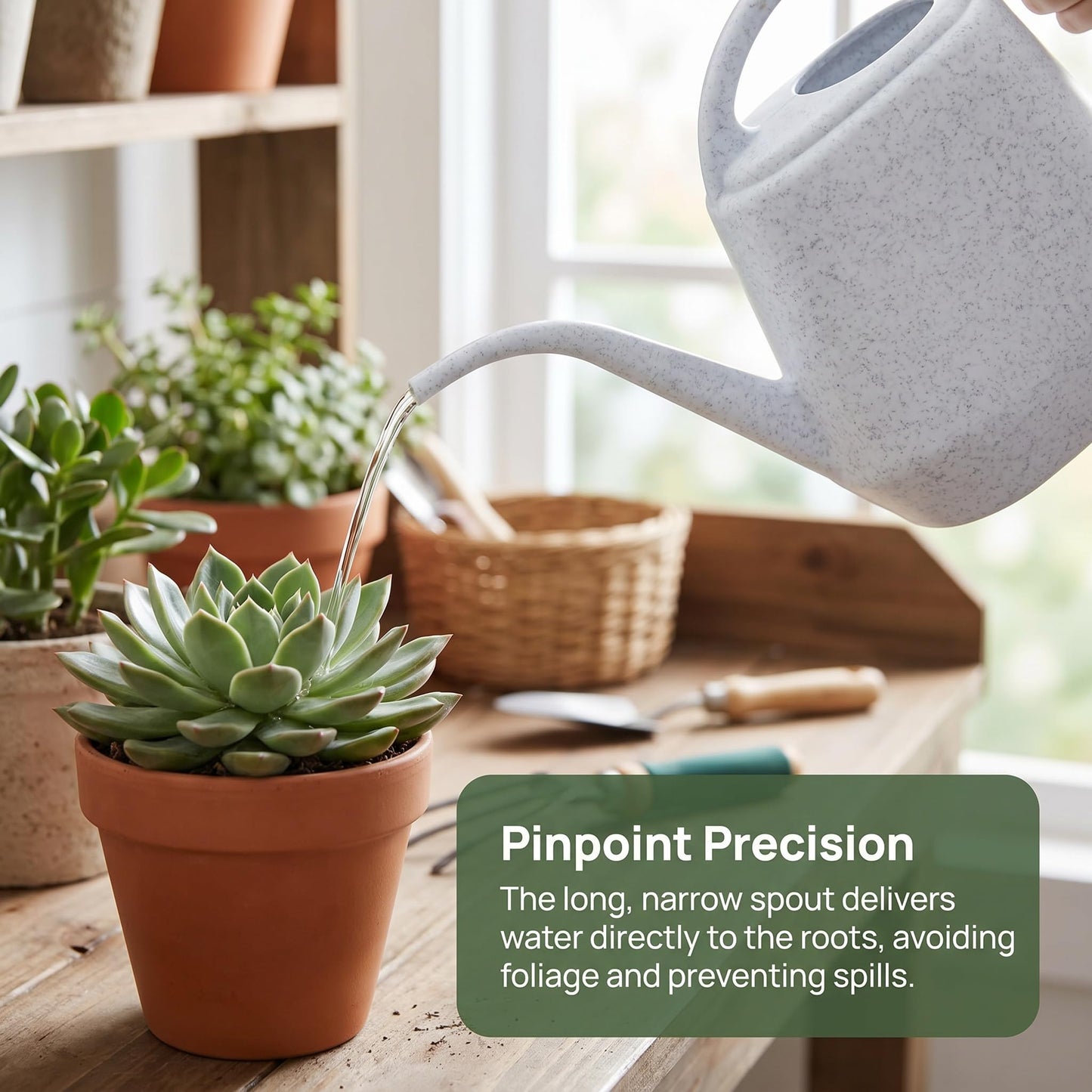 Fasmov Plastic Watering Can, 1-Gallon