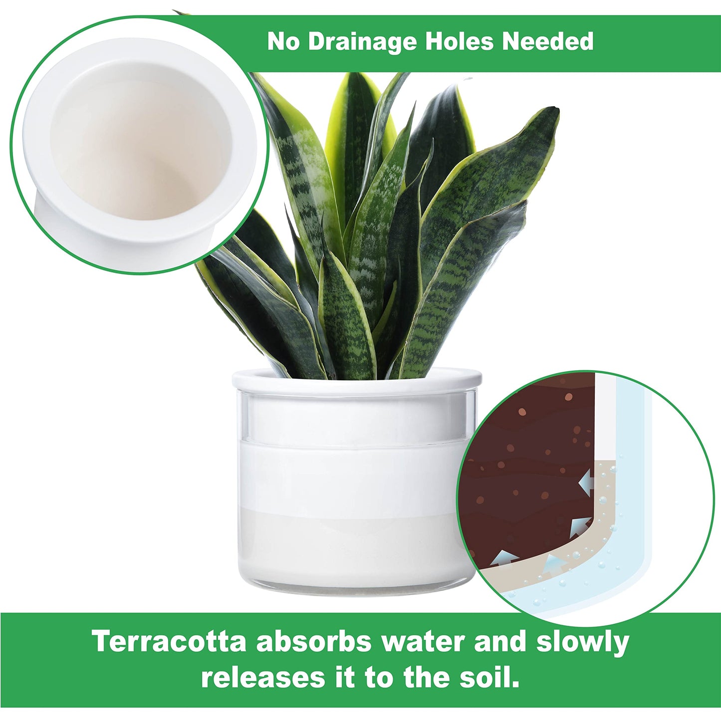 Phoenix Vine 6 Inch Self Watering Planter Pot, Design White Terracotta Pot for Plants, Indoor Cylinder Terra Cotta Pot with Glass Vase, Set of 1, 51-B-F-1