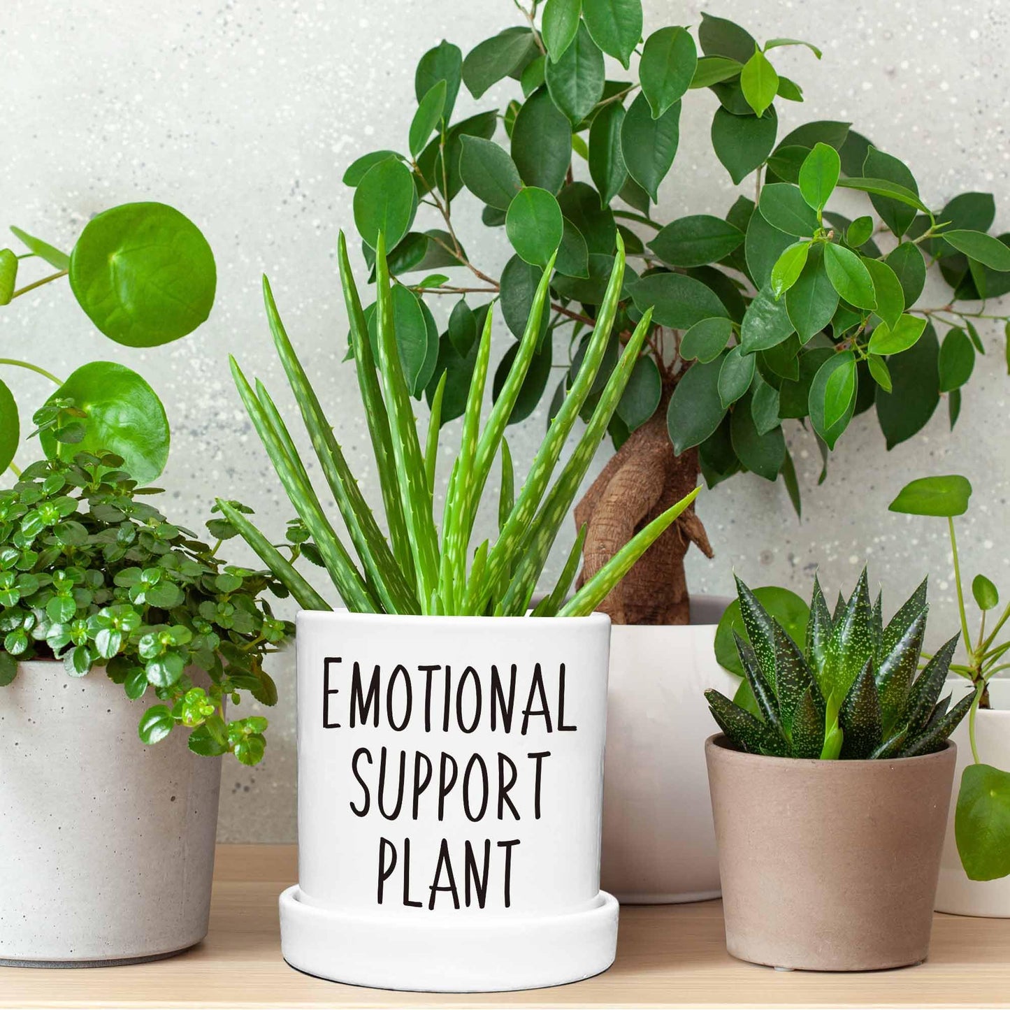Lzracotz 4.3 inch Ceramic Emotional Support Plant Pot, Funny Succulent Pots, Cute Cactus Planters with Drainage Hole, Funny Plant Pot Emotional Support Cactus
